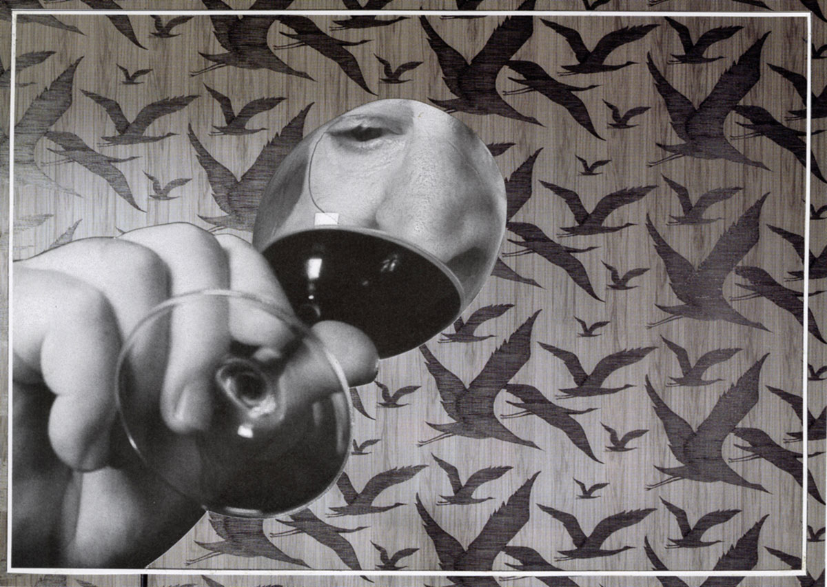 The Birds Of Wine