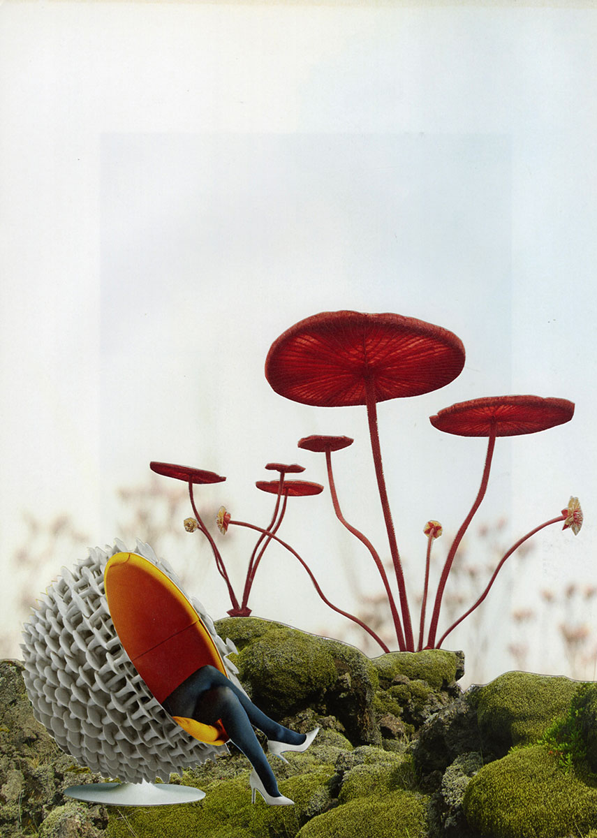 Mushroom